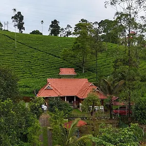 Traditional , Munnar India