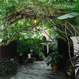 Bella Kerala , Alappuzha India